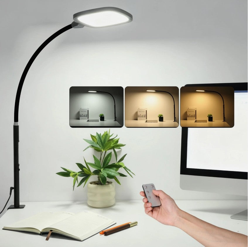 LED Desk Lamp with Clamp