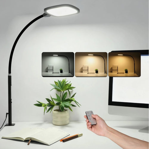 LED Desk Lamp with Clamp