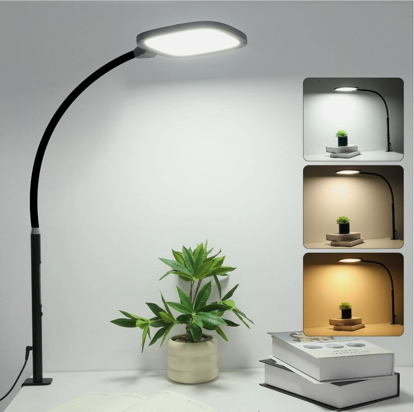 LED Desk Lamp with Clamp
