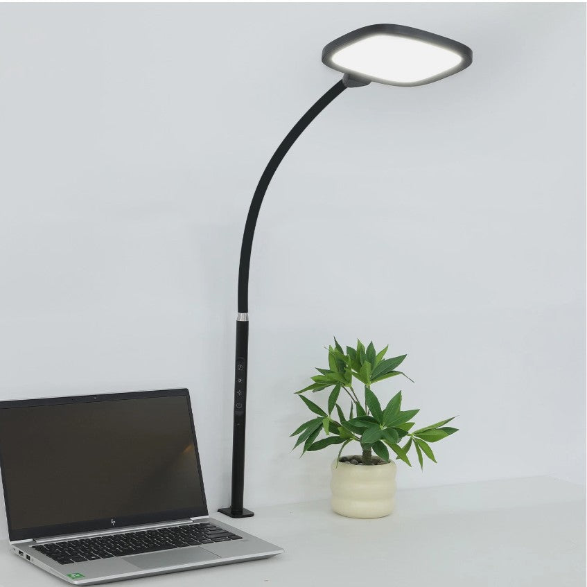 LED Desk Lamp with Clamp